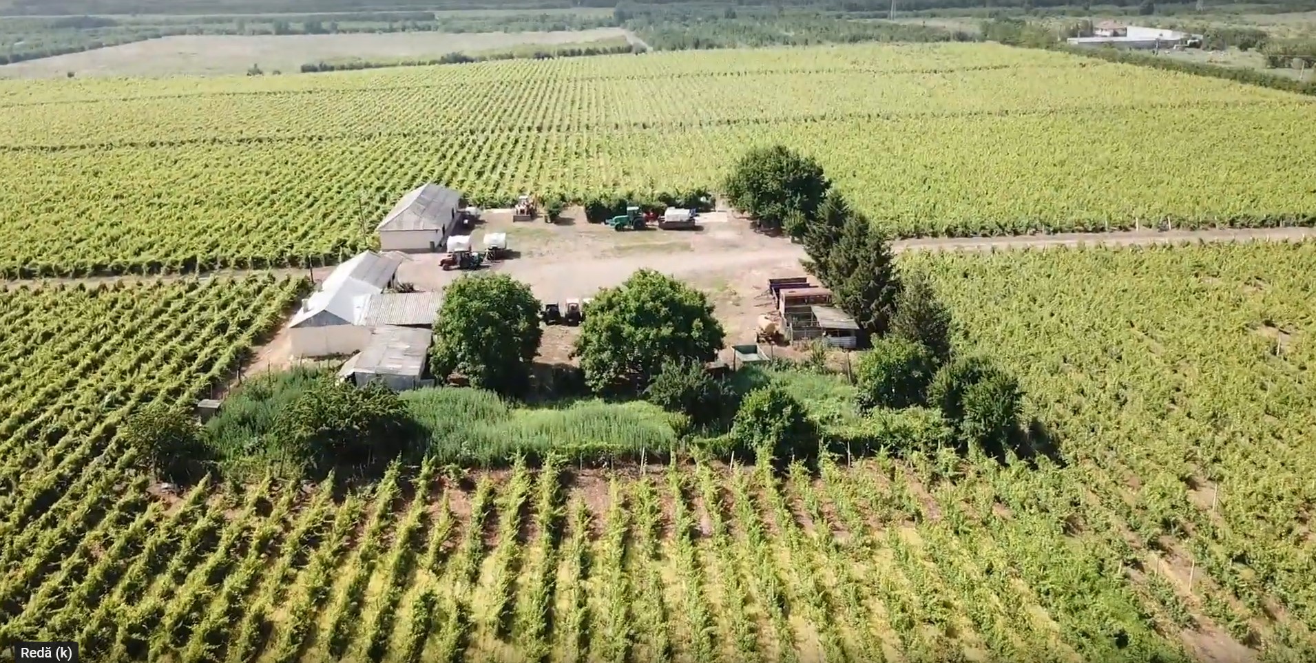 Screenshot 2023-01-03 131036