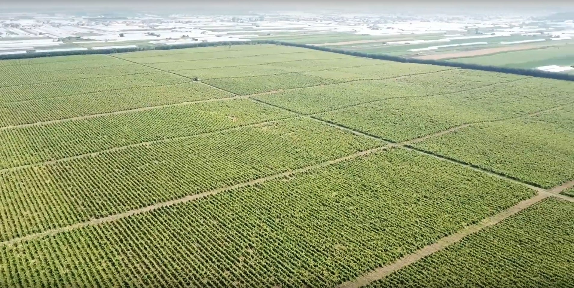 Screenshot 2023-01-03 133138