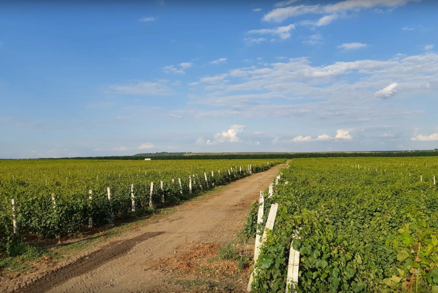 Screenshot 2023-01-03 133636